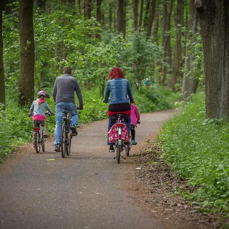 Holiday home Ruebezahl Am Mueggelsee, Haus 21 Efeu Mit Eigener Sauna, Idealer Ort Fuer Natur- Und Erholungssuchende, Fuer Radfahrer, Familien Mit Kindern Und Hundeliebhaber Berlin