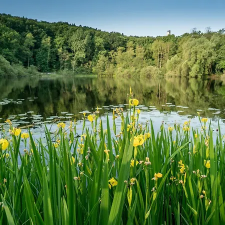 Ruebezahl Am Mueggelsee, Haus 21 Efeu Mit Eigener Sauna, Idealer Ort Fuer Natur- Und Erholungssuchende, Fuer Radfahrer, Familien Mit Kindern Und Hundeliebhaber بيت للعطل *