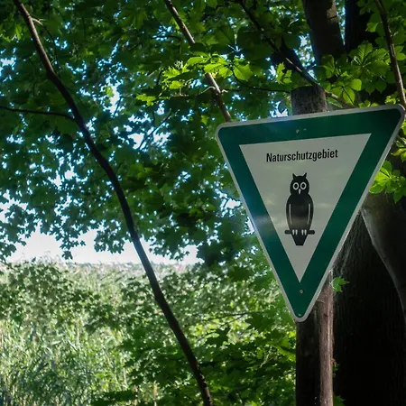 Ruebezahl Am Mueggelsee, Haus 21 Efeu Mit Eigener Sauna, Idealer Ort Fuer Natur- Und Erholungssuchende, Fuer Radfahrer, Familien Mit Kindern Und Hundeliebhaber برلين